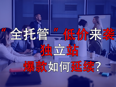 全托管低價來襲，獨立站爆款如何延續(xù)？
